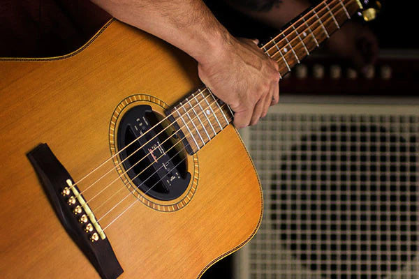 Shadow Electronics Acoustic Guitar pickups and preamps