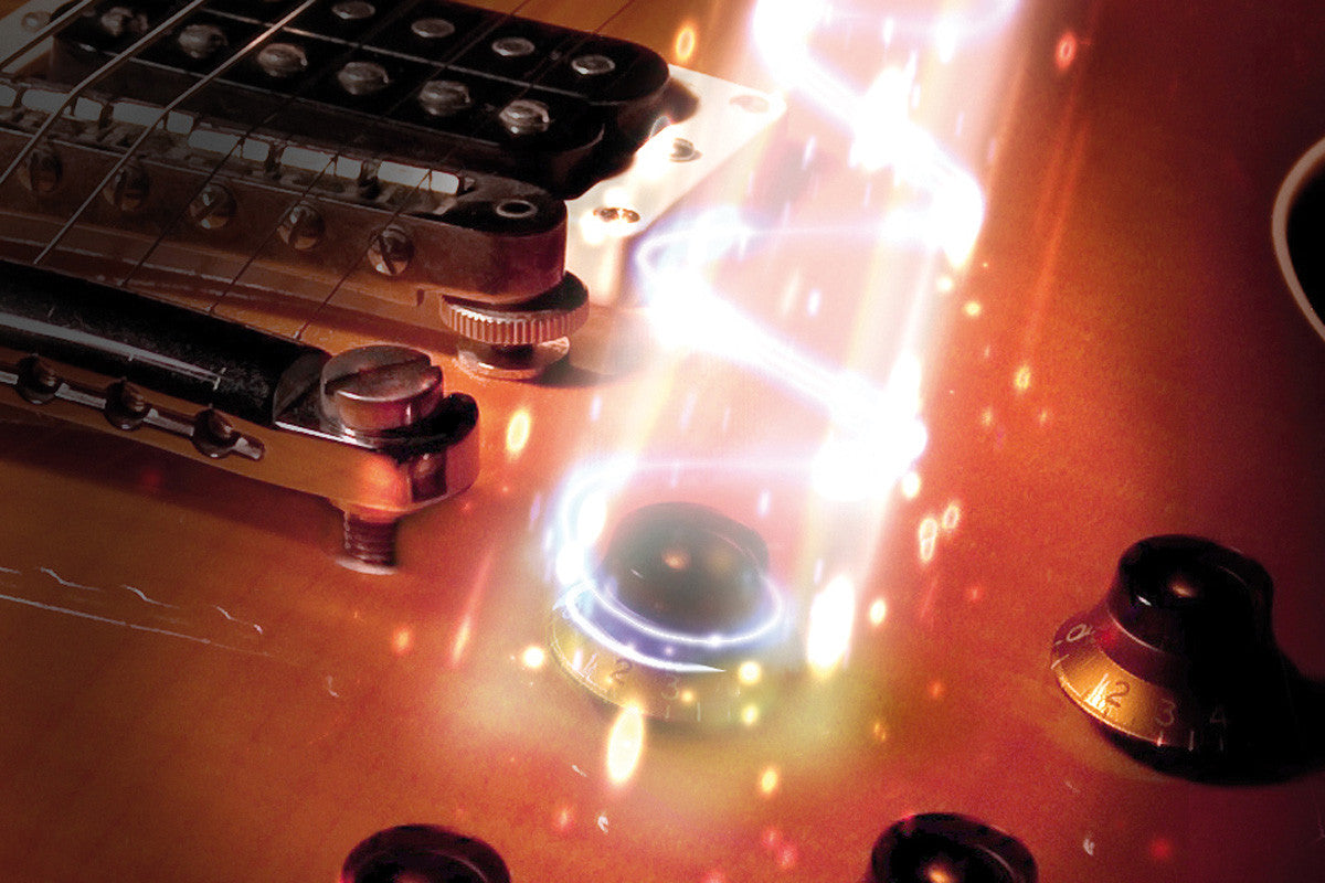 Shadow Electronics SH 124 Kill-Pot installed in guitar