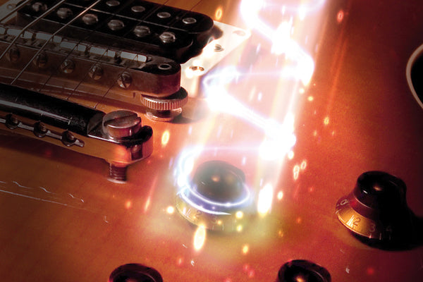 Shadow Electronics SH 124 Kill-Pot installed in guitar